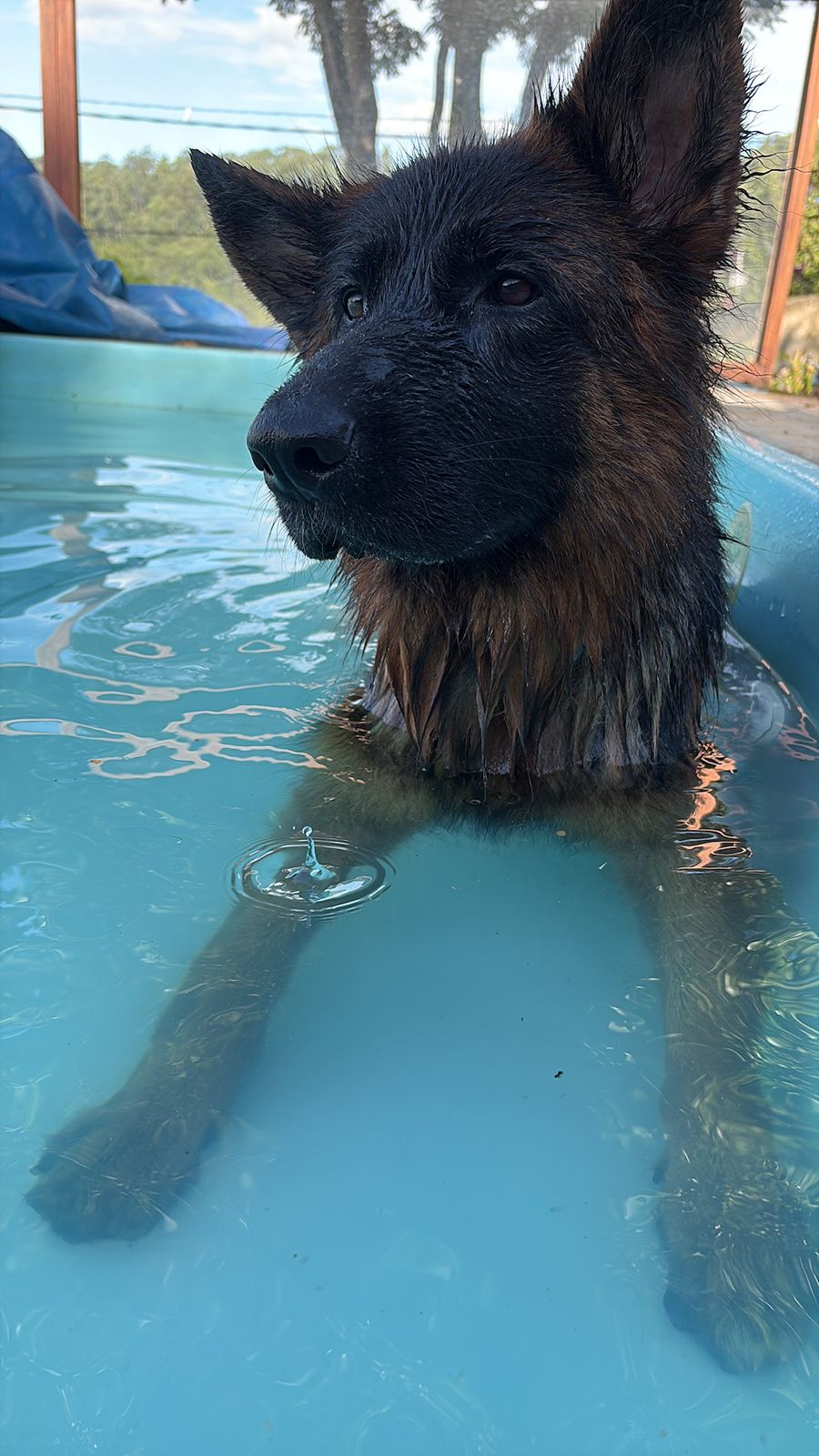 Nayla refrescando na piscina