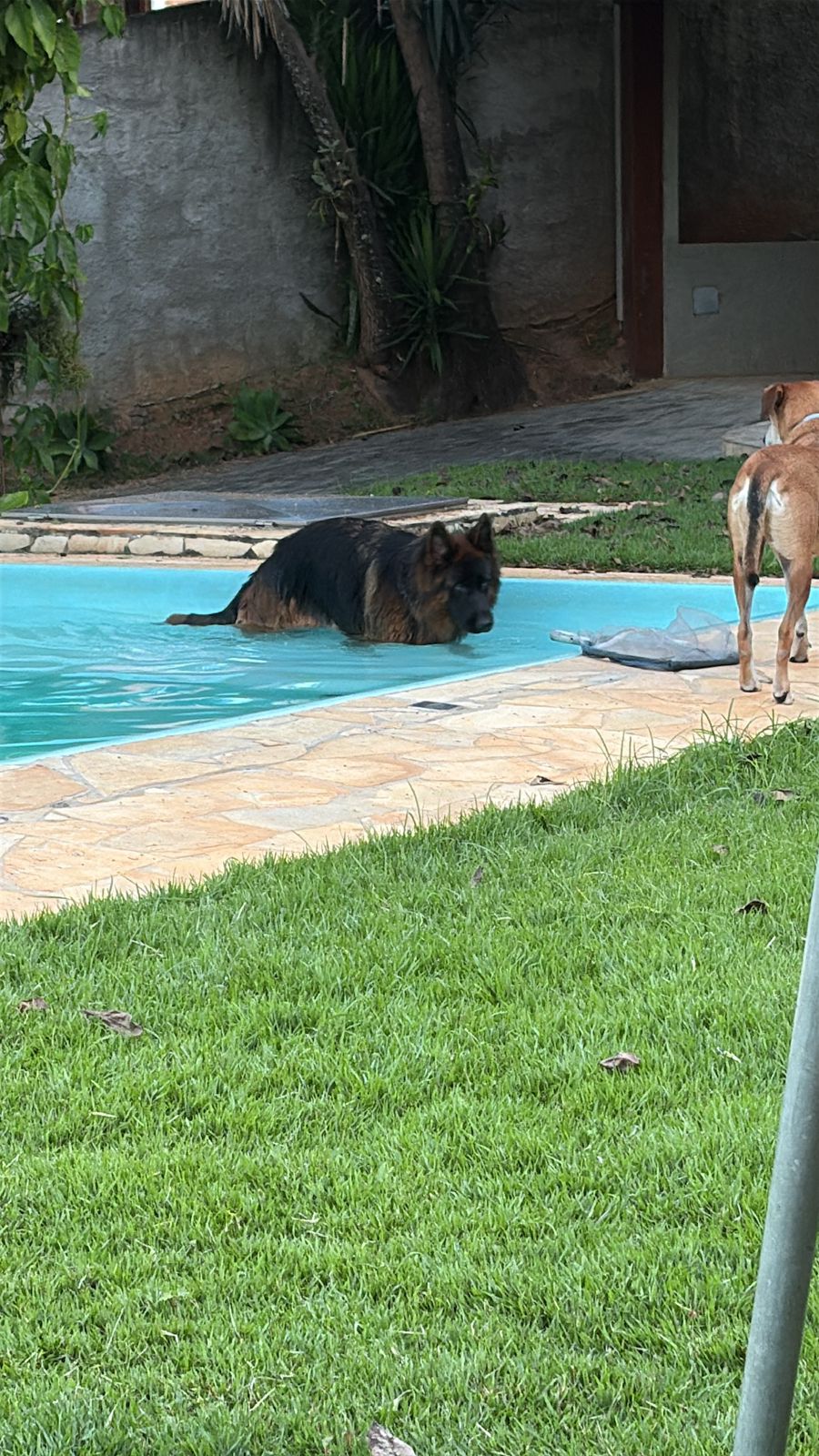 Nayla curtindo a água com a família